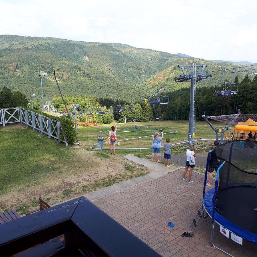 Lesni Chalet *