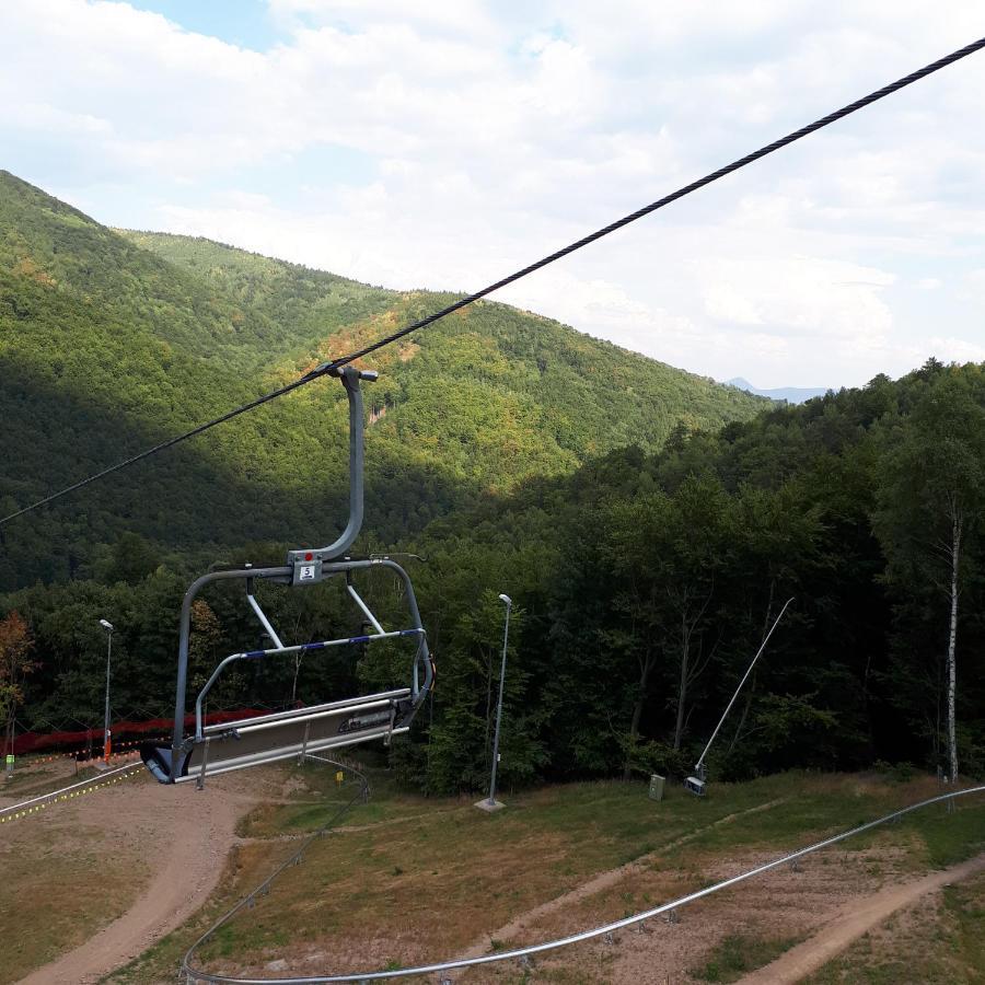 Lesní