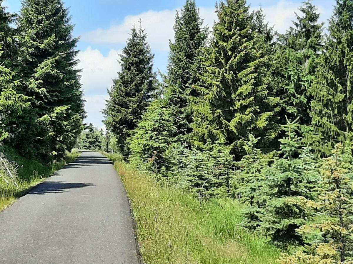 Domek alpejski Lesni
