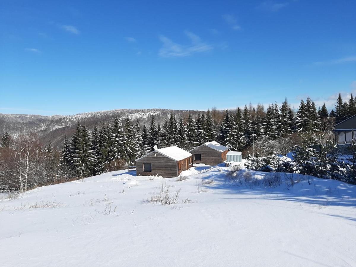 Lesni Chalet