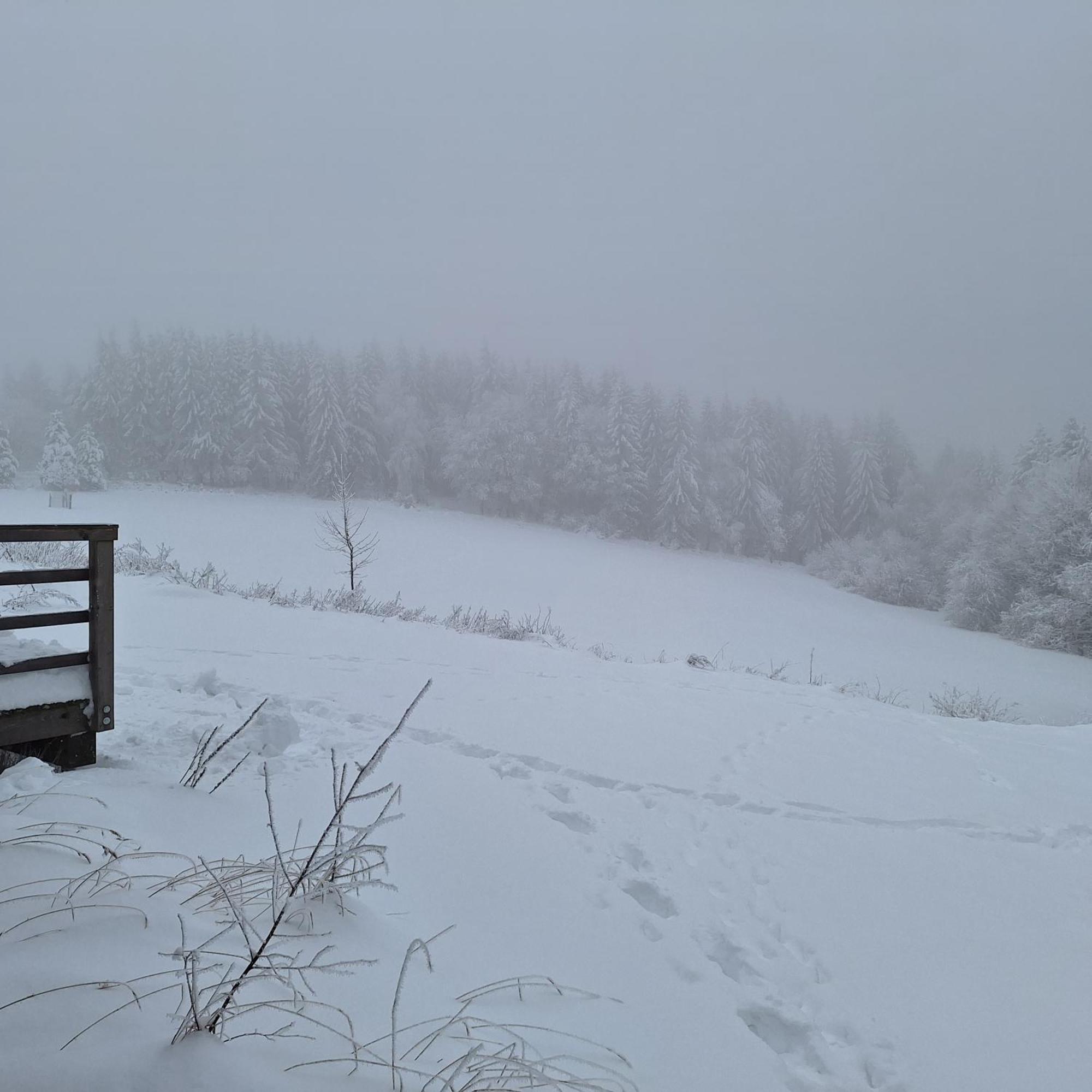 Chalet Lesni