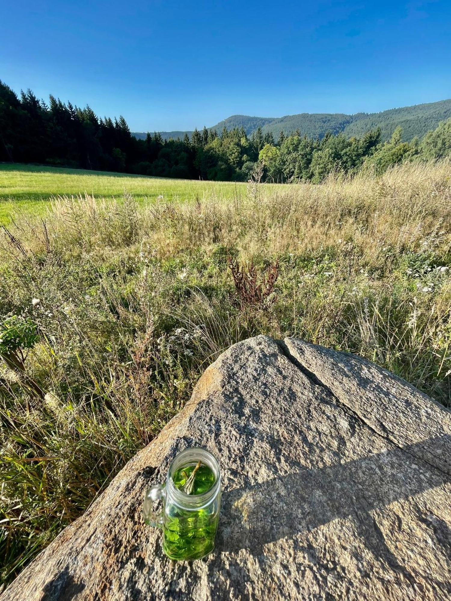 Lesni Шале Kliny